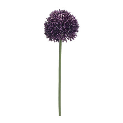 Allium Spray - Violet