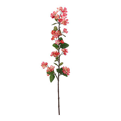 Apple Blossom Spray TwoTone Coral