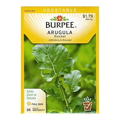 Seeds - Arugula 'Rocket'