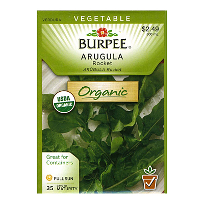 Seeds - OR Arugula 'Roquette'