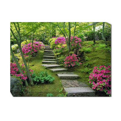 Outdoor Art - Azaleas Blooming