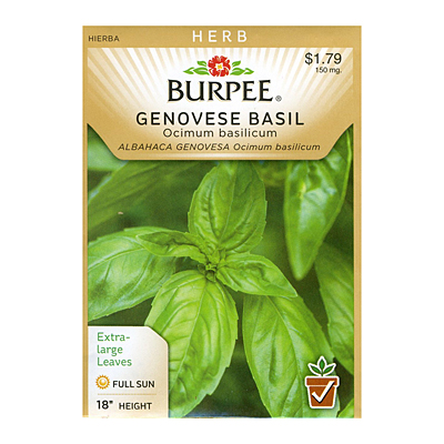 Seeds - Basil 'Genovese'