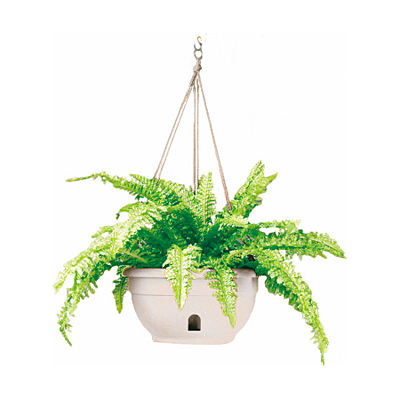 EEZY-GRO Hanging Basket - White