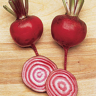 Seeds - H Beet 'Chioggia'