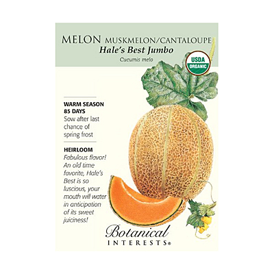 Seeds - BI Melon Hales Best Jumbo Org