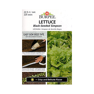 Seeds - Lettuce Leaf 'Black Simpson' Seed Tape