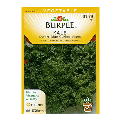 Seeds - Kale 'Blue Vates'
