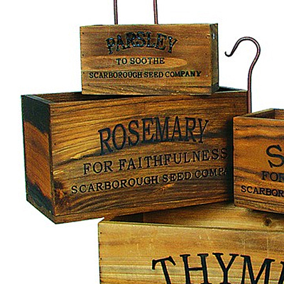 Herb Box - Rosemary
