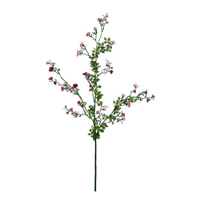 Spray - Bramble Rose Red