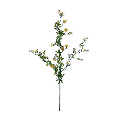 Spray - Bramble Rose Yellow
