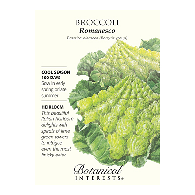 Seeds - BI Broccoli Romanesco