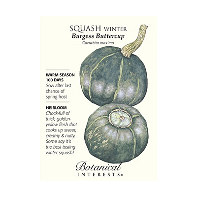 Seeds - BI Squash Winter Burgess Buttercup
