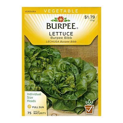 Seeds - Lettuce, Head 'Burpee Bibb'