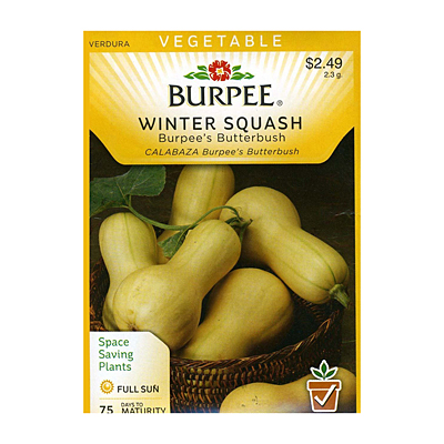 Seeds - Squash, Winter 'Burpee's Butterbush'