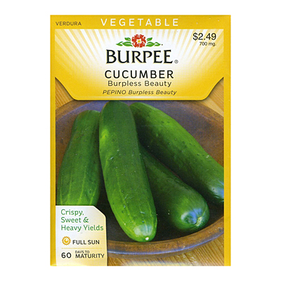 Seeds - Cucumber 'Burpless Beauty'