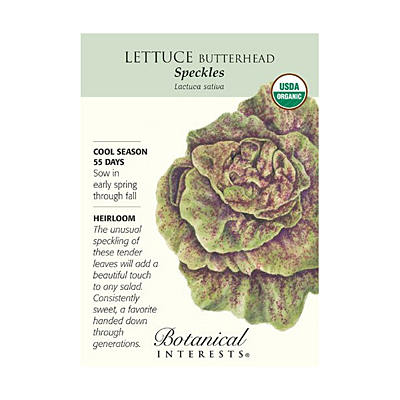 Seeds - BI Lettuce Butterhead Speckles Org