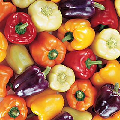 Seeds - Pepper, Sweet 'Carnival Mix'