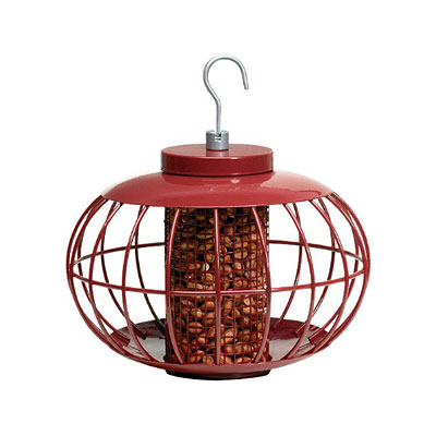 Nuttery Chinese Lantern Nut Feeder