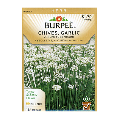 Seeds - Chives 'Garlic'