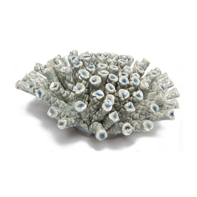 Coral - Large Light Blue