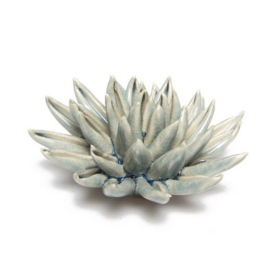 Coral - Cactus Blue