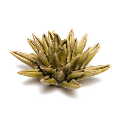 Coral - Cactus Olive