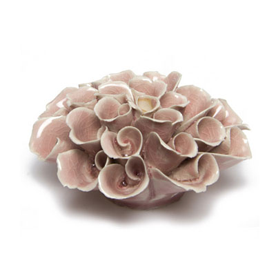 Coral - Flower Pink
