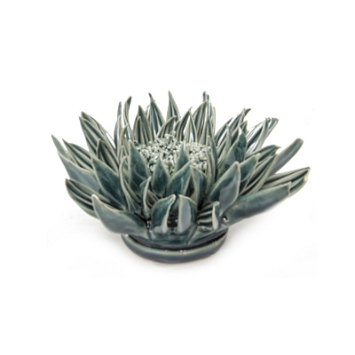 Coral 3 - Large Flower Teal