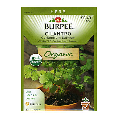 Seeds - Coriander / Cilantro