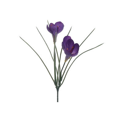 Crocus Spray - Violet