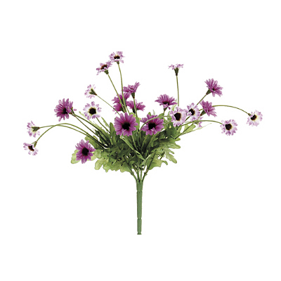 Daisy Bush - Purple Two Tone
