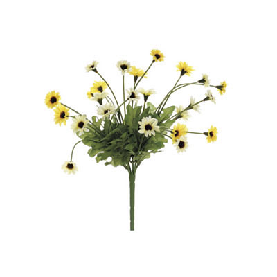 Daisy Bush - Yellow Two Tone