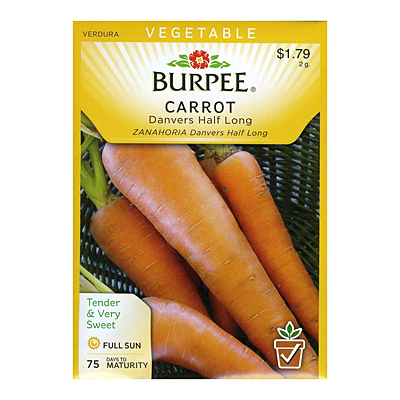 Seeds - Carrot 'Danvers Half Long'