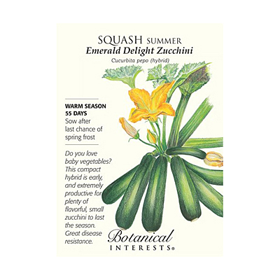 Seeds - BI Squash Summer Emerald Delight