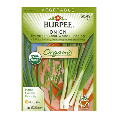 Seeds - OR Onion 'Evergreen Bunching'