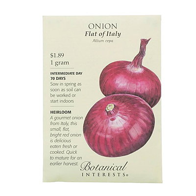 Seeds - BI Onion Flat of Italy