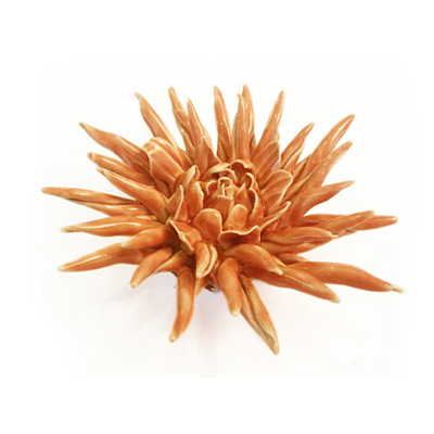 Coral 2 - Flower Orange