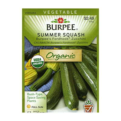 Seeds - OR Squash, Summer 'Burpee's Fordhook Zucchini'