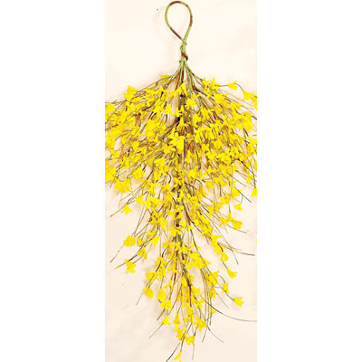 Forsythia Teardrop