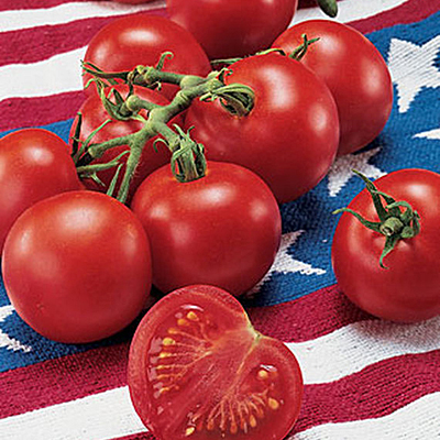 Seeds - Tomato 'Fourth of July Hybrid'