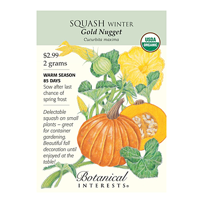 Seeds - BI Squash Winter Gold Nugget Org