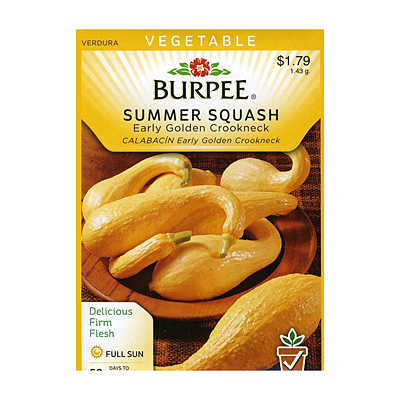 Seeds - Squash, Summer 'Early Golden Crookneck'