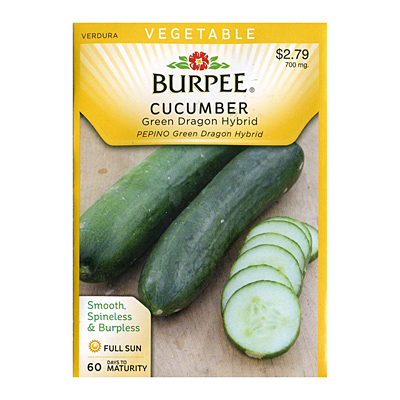 Seeds - Cucumber 'Green Dragon Hybrid'