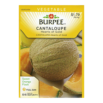 Seeds - Cantaloupe 'Hearts of Gold'