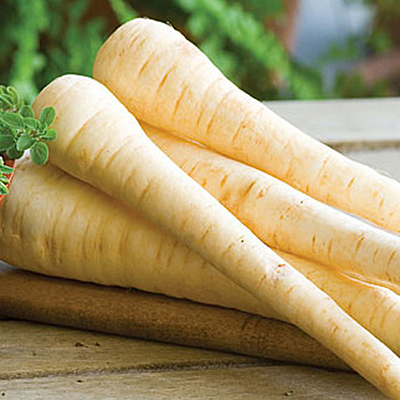 Seeds - H Parsnip 'Hollow Crown'