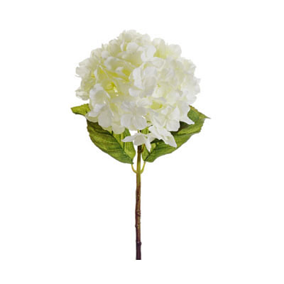 Hydrangea Spray Cream