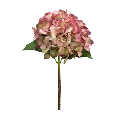 Hydrangea Spray Mauve Green