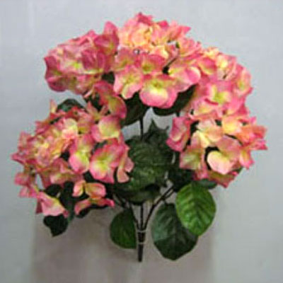 Bush - Hydrangea Pink