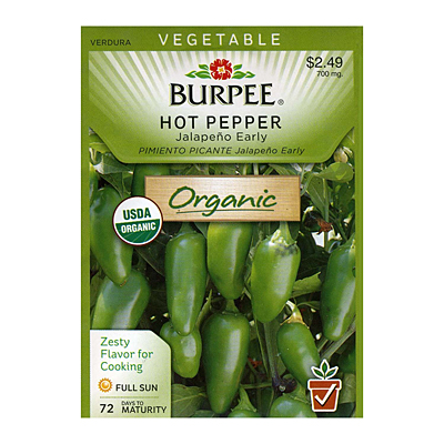 Seeds - OR Pepper, Hot 'Jalapeno Early'