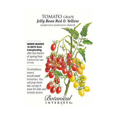 Seeds - BI Tomato Grape Jelly Bean Red & Yellow